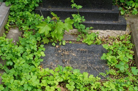 Bad Godesberg